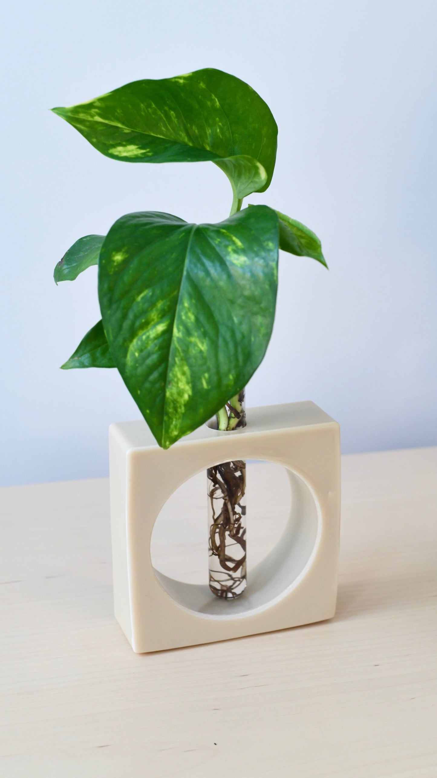 Limited-edition Thalo CO₂-Captured Vase